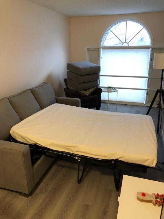 Unit #201 Cozy Mountain View 1Br In Dt Apartment แคนมอร์ ภายนอก รูปภาพ